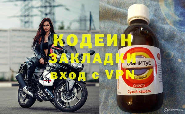 хмурый Вяземский