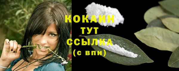 хмурый Вяземский