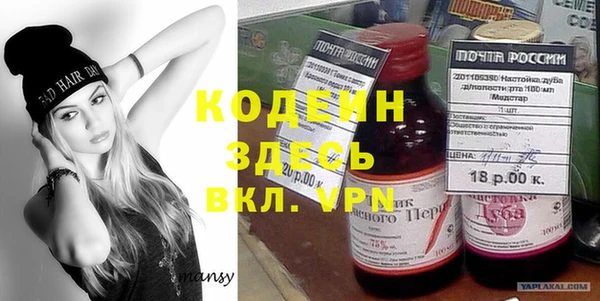 хмурый Вяземский