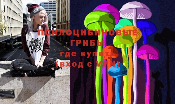 хмурый Вяземский