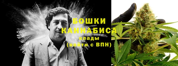 МДПВ Вязьма