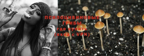МДПВ Вязьма
