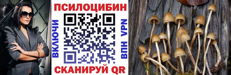 Купить закладки  Уссурийск  Псилоцибиновые грибы мицелий 